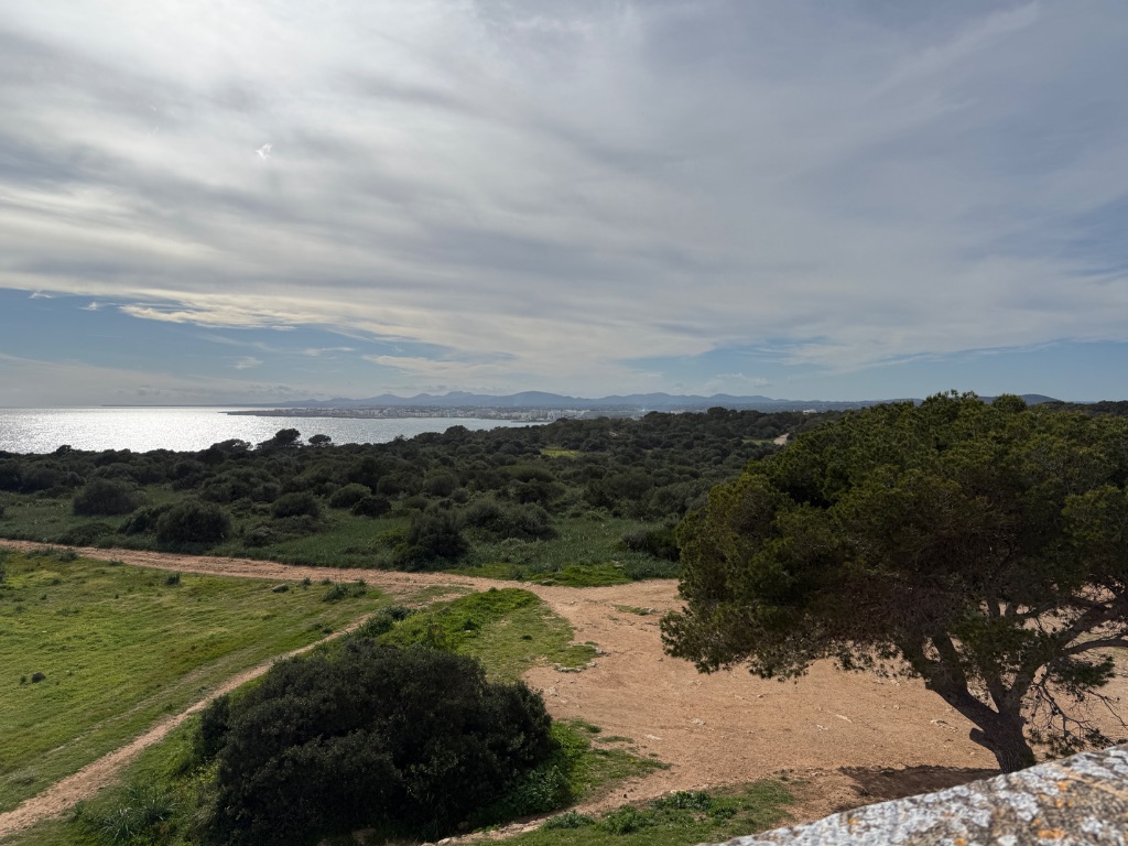 Uitzicht Punta de n'Amer